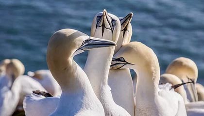 开云中国-深圳佳兆业迎战广州恒大，胜负之争谁将称霸赛场？，深圳佳兆业和广州恒大直播