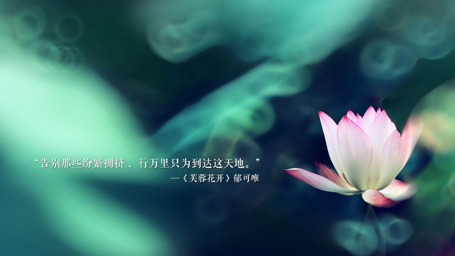 尼古拉·西尔维斯特里在男子撑杆跳中获得银牌，尼古拉 维奇拳手