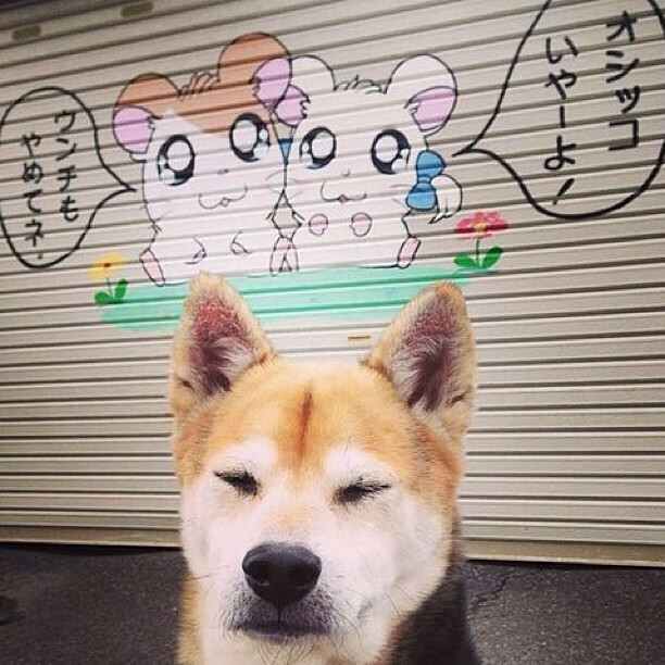 综合乒乓球赛季奖牌榜，乒乓球联赛季军