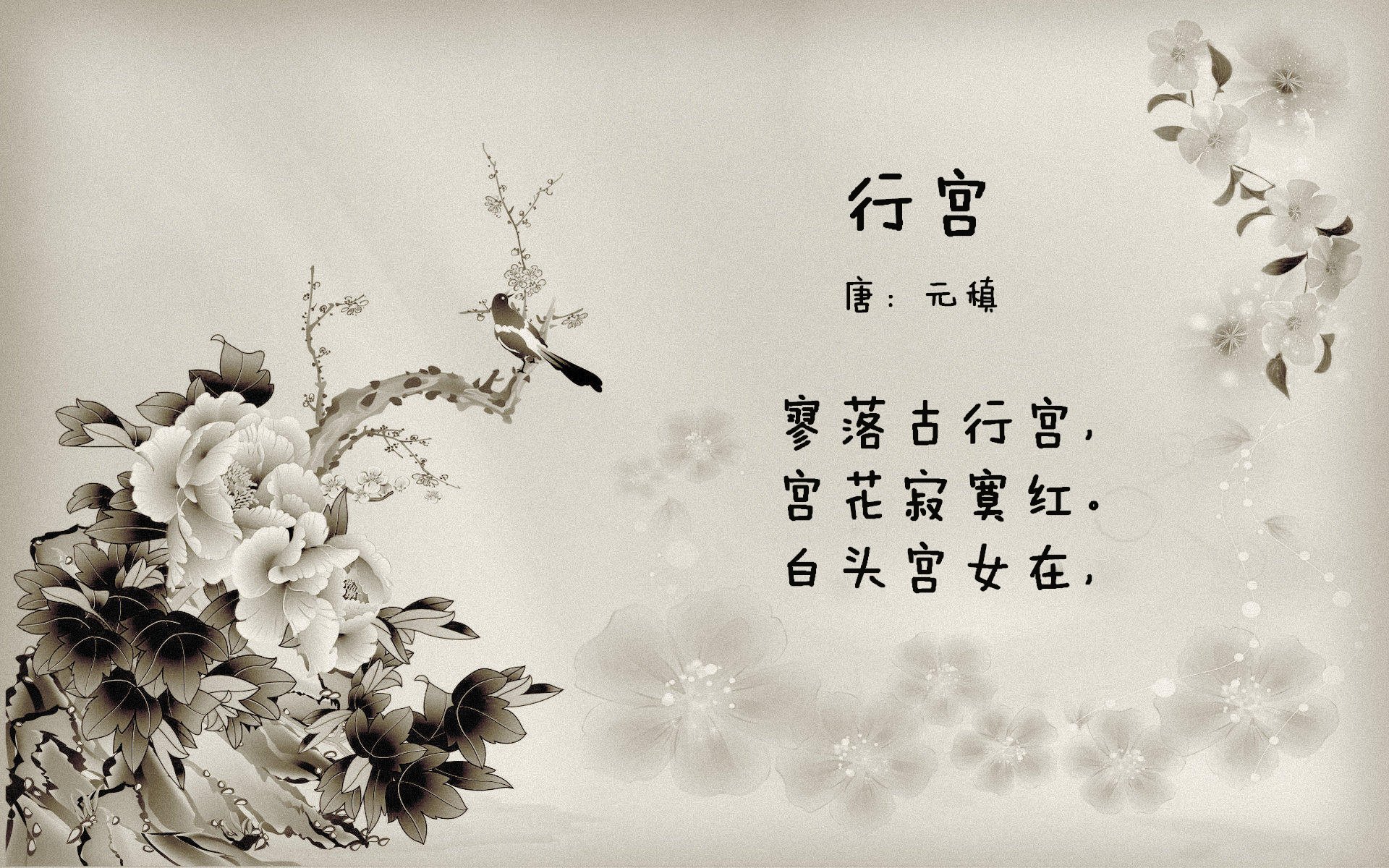 开云中国大陆-“世界顶级选手齐聚武汉，马拉松赛场激烈开跑”