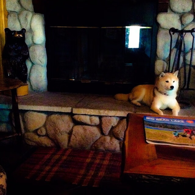 全国学生网球锦标赛开打青年组看点多,全国青少年网球巡回赛总决赛