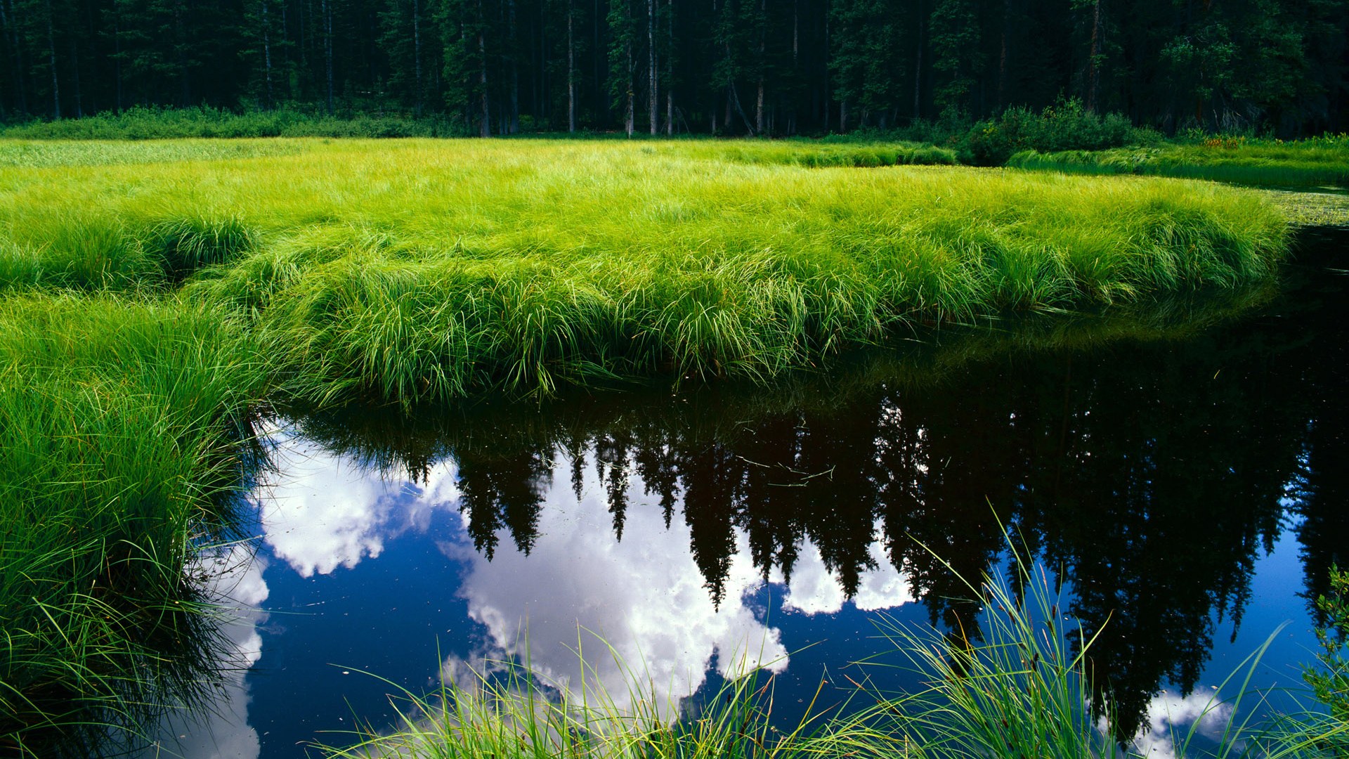 山西龙狮加强中距离投篮训练提高效率