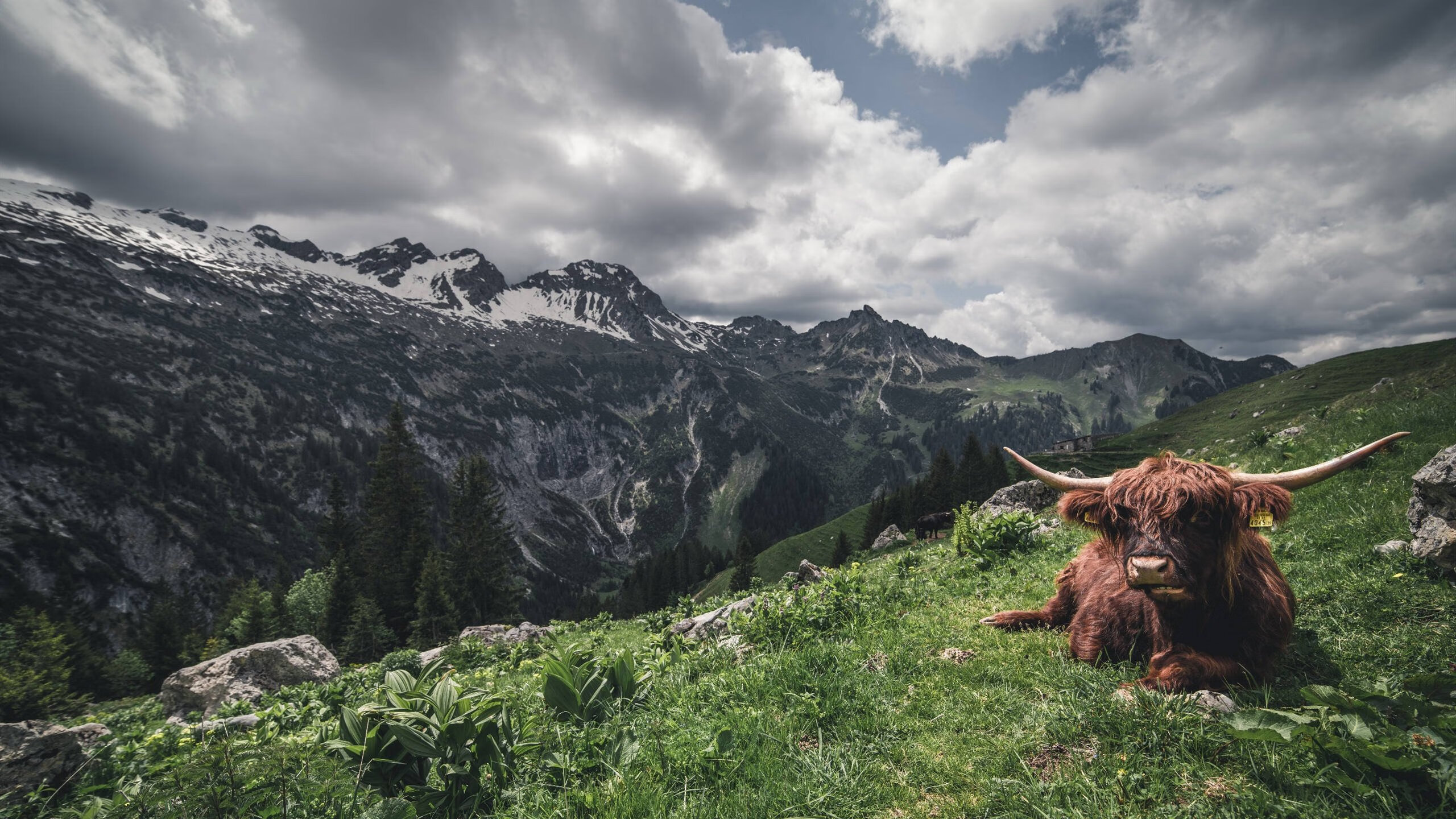 开云体育在线赛事直播-电竞女队首次亮相国际赛事 引发热议，女电竞战队