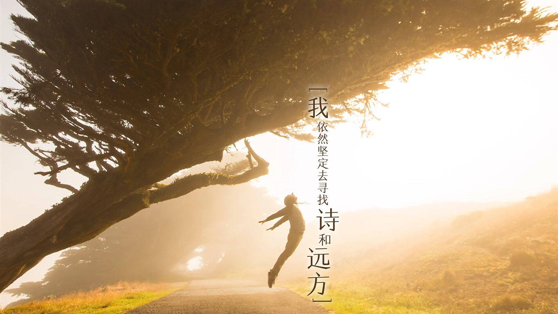 里昂注重体能轮换保持阵容活力,里昂打法