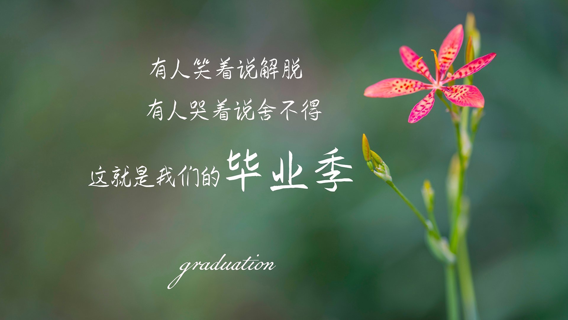 开云官网登录-中国足球裁判执法视频回放助力判罚精准，中国足球打裁判视频