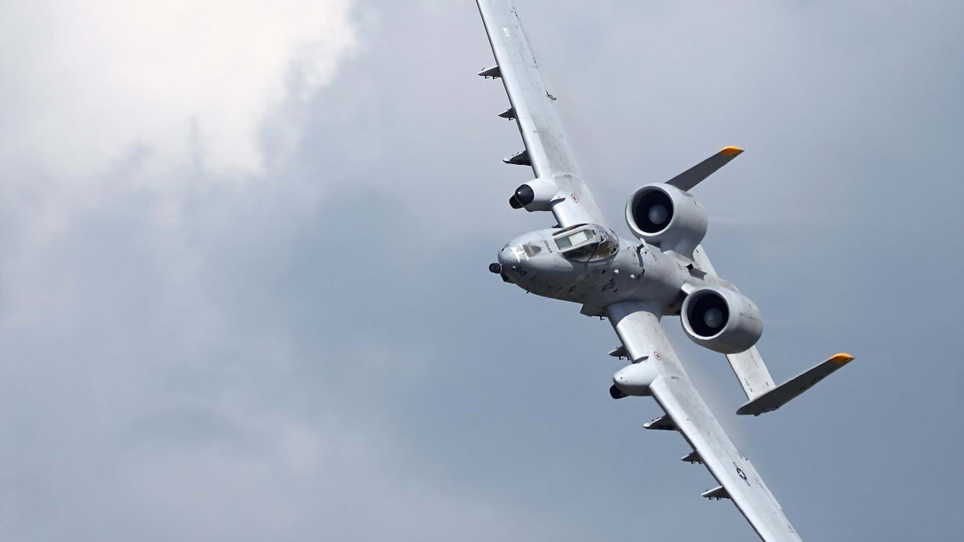 开云在线直播-帕特森展现了卓越的战术适应能力，带领袋鼠队战胜强敌，《帕特森》