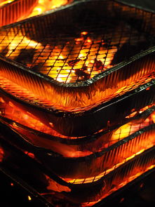 开云官方网页登录-森林狼主场布景焕然一新增强品牌识别度，森林狼logo