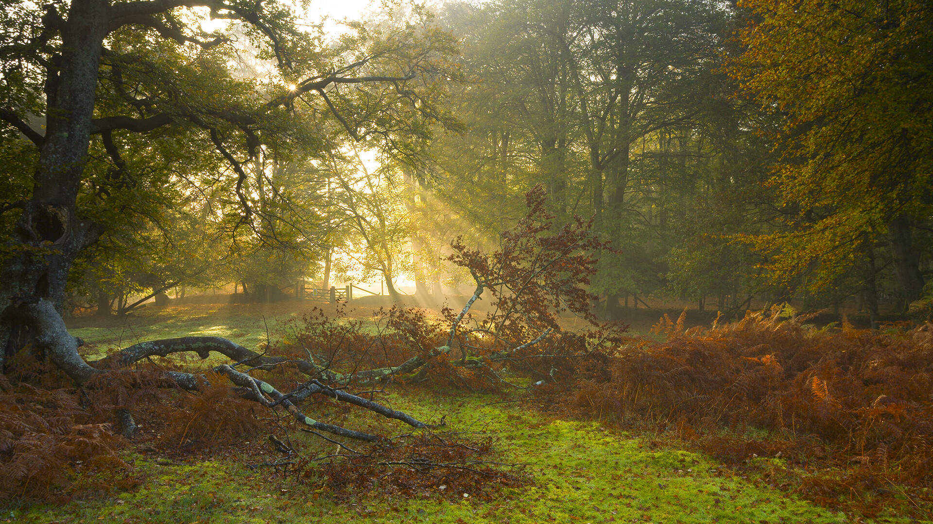kaiyun官方入口登录-皮特·斯图斯：南非队的防守之魂，展现完美球技