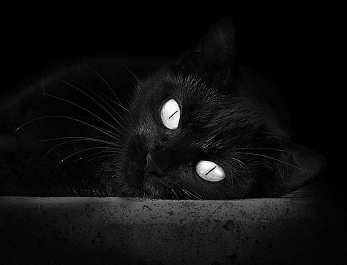 开云体育官方网入口-职业联赛推行家庭日活动增强球迷多样化参与，举办家庭日活动的注意事项