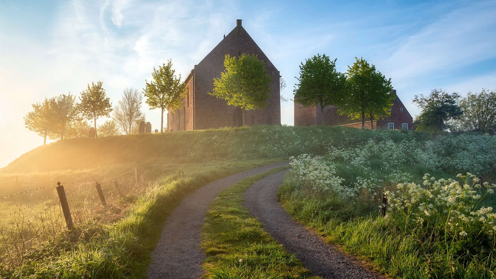 荷兰队迎来新主帅，战术全面革新