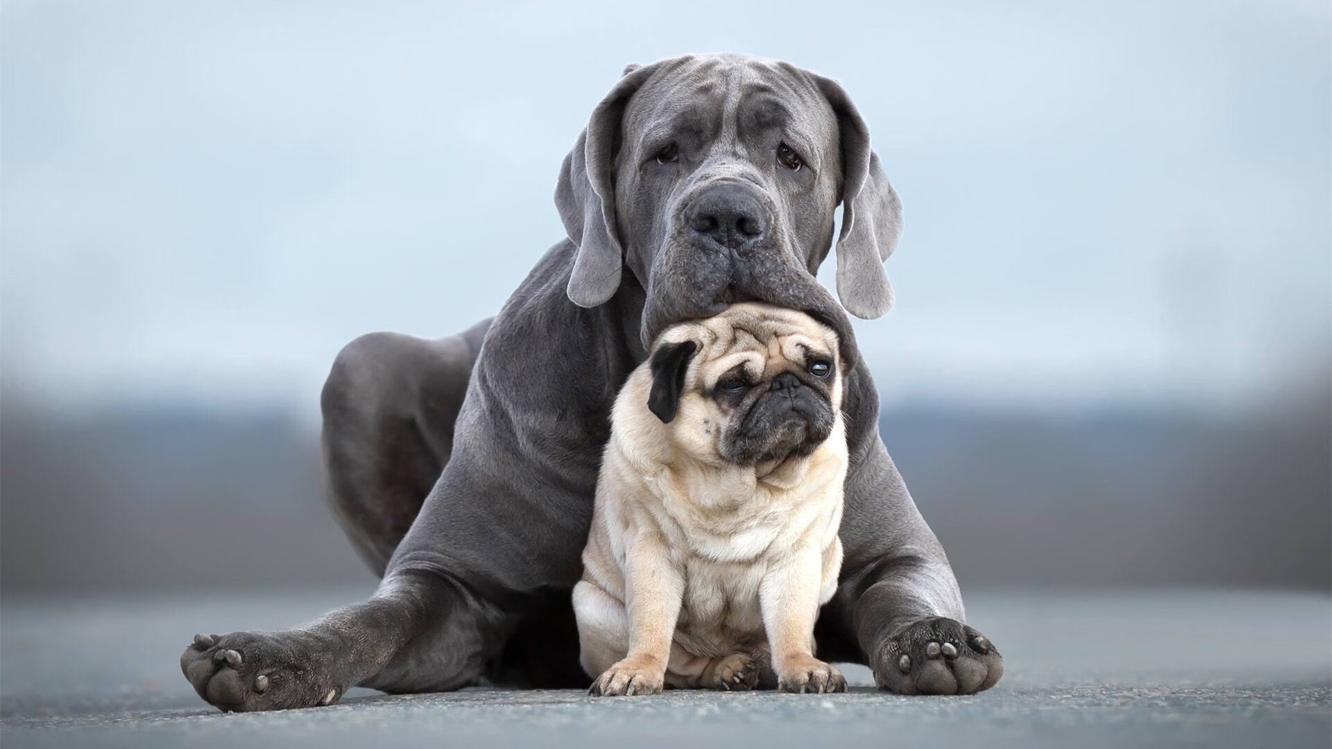 西甲超级点球：紧张时刻，惊心动魄！，西甲点球榜