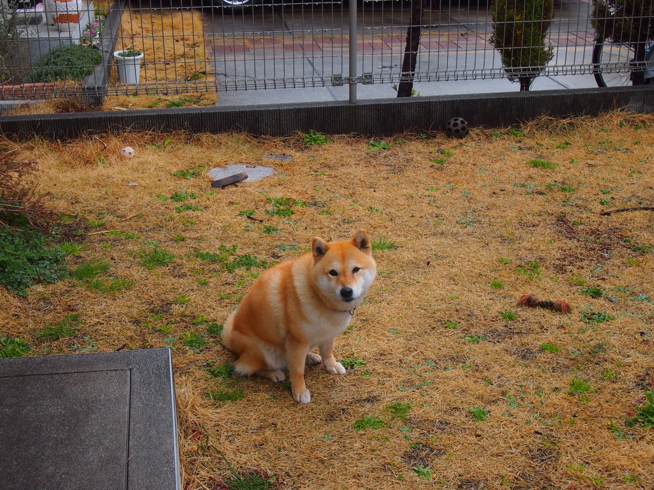 开云体育视频直播-足球运动在疫情后逐步恢复，行业复苏势头明显，疫情足球比赛什么时候恢复