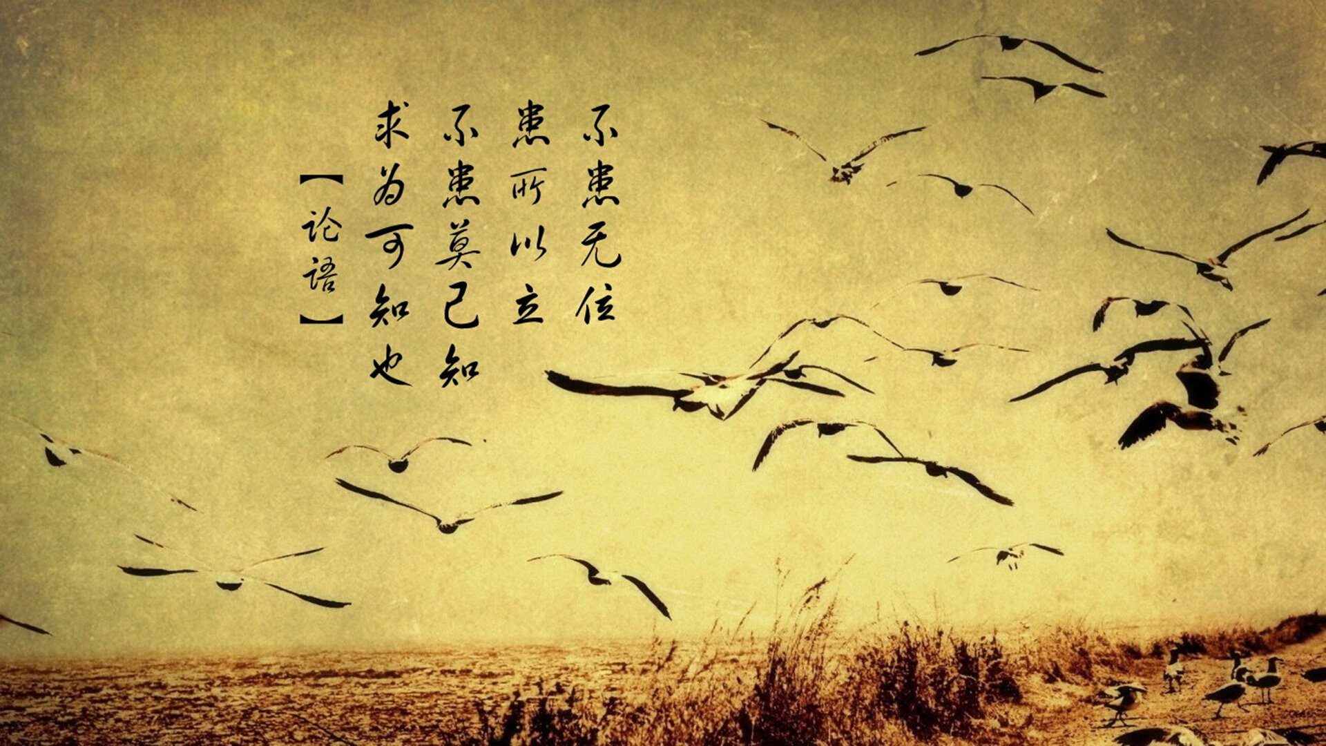 开云体育中国官网-马拉维男篮在非洲锦标赛中夺冠，创历史新高